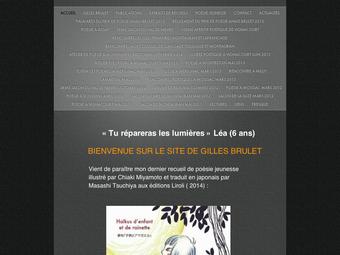 http://gilles.brulet.pagesperso-orange.fr/gilles/accueil.html